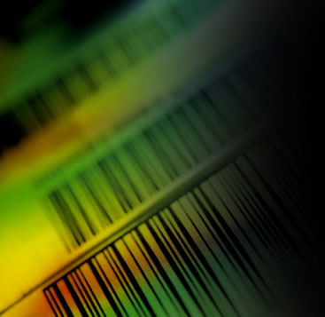 barcode.jpg (20365 bytes)